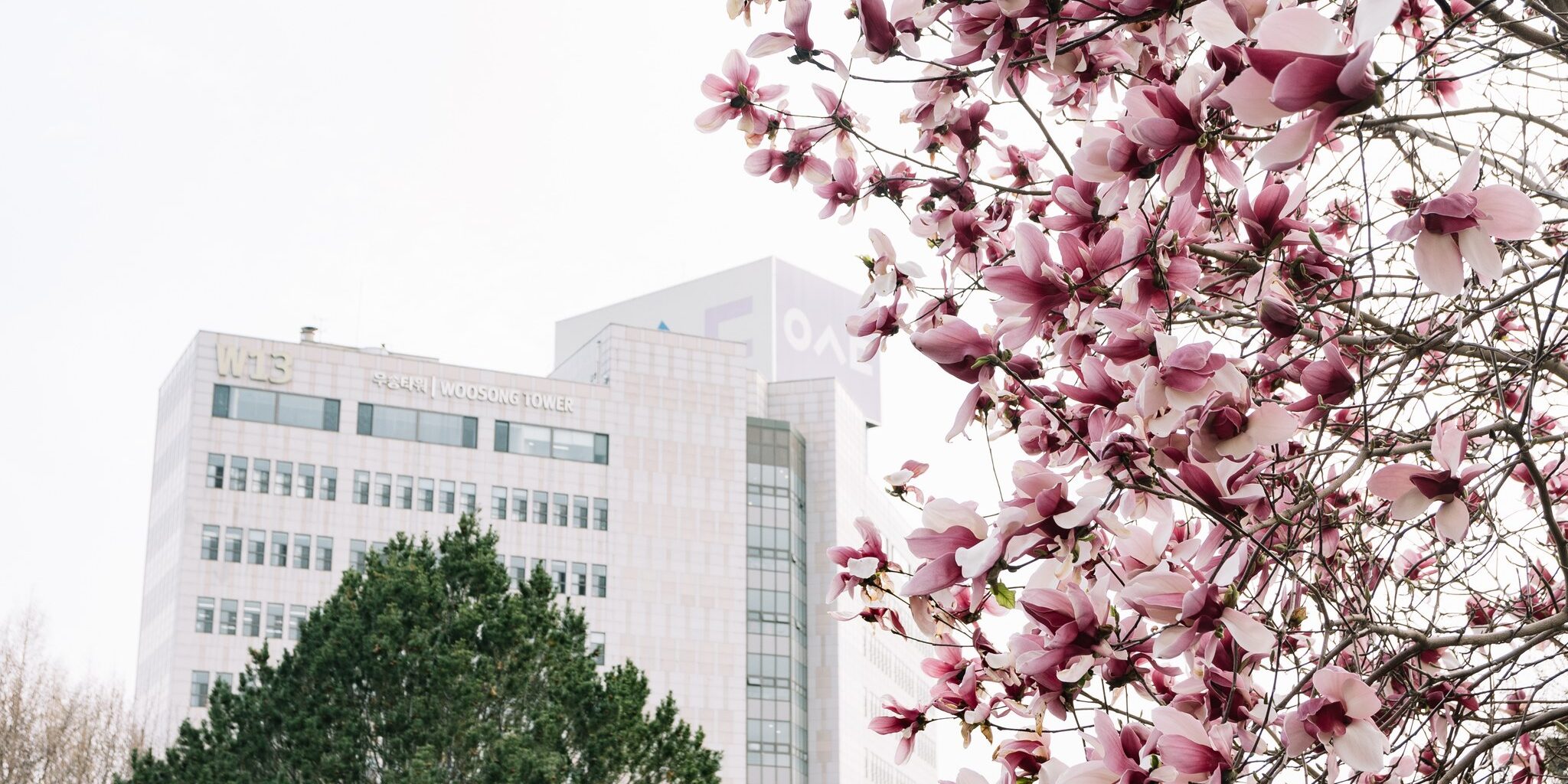 WOOSONG UNIVERSITY (WSU) WOOSONG UNIVERSITY (WSU)