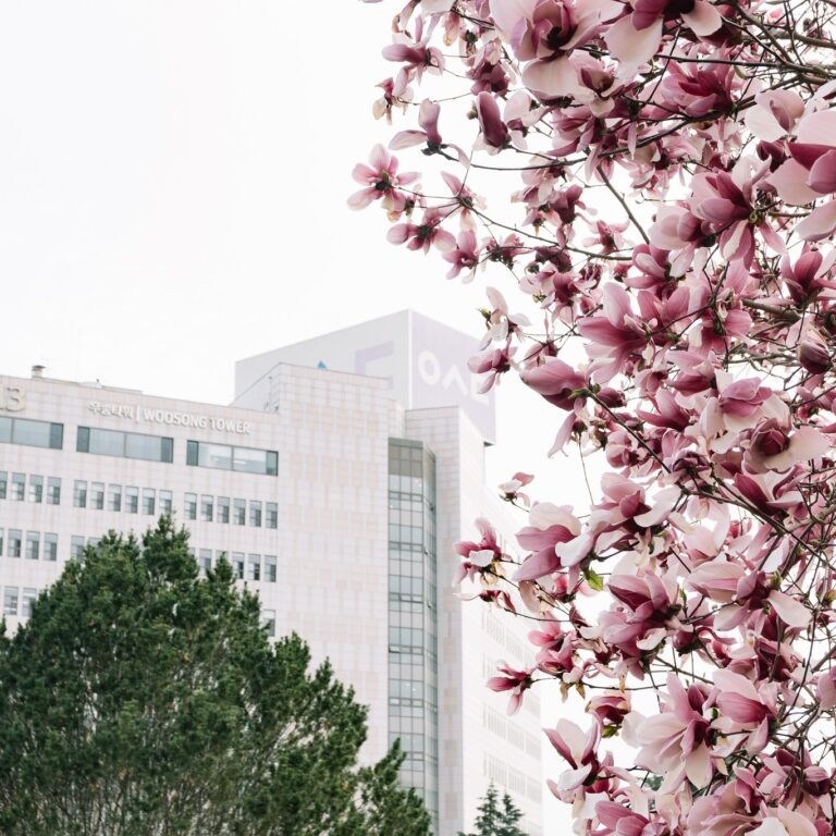 WOOSONG UNIVERSITY (WSU)