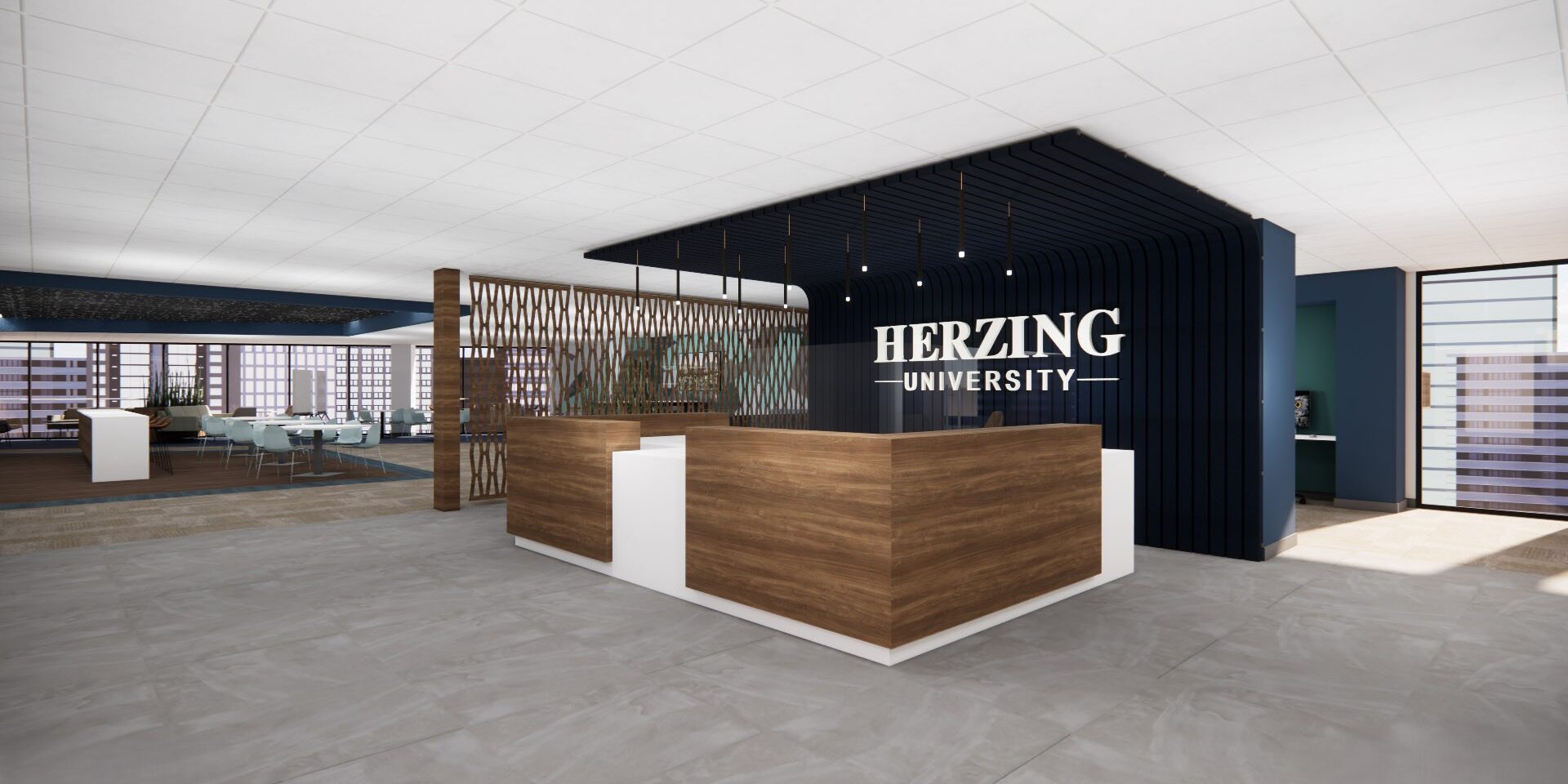 HERZING UNIVERSITY