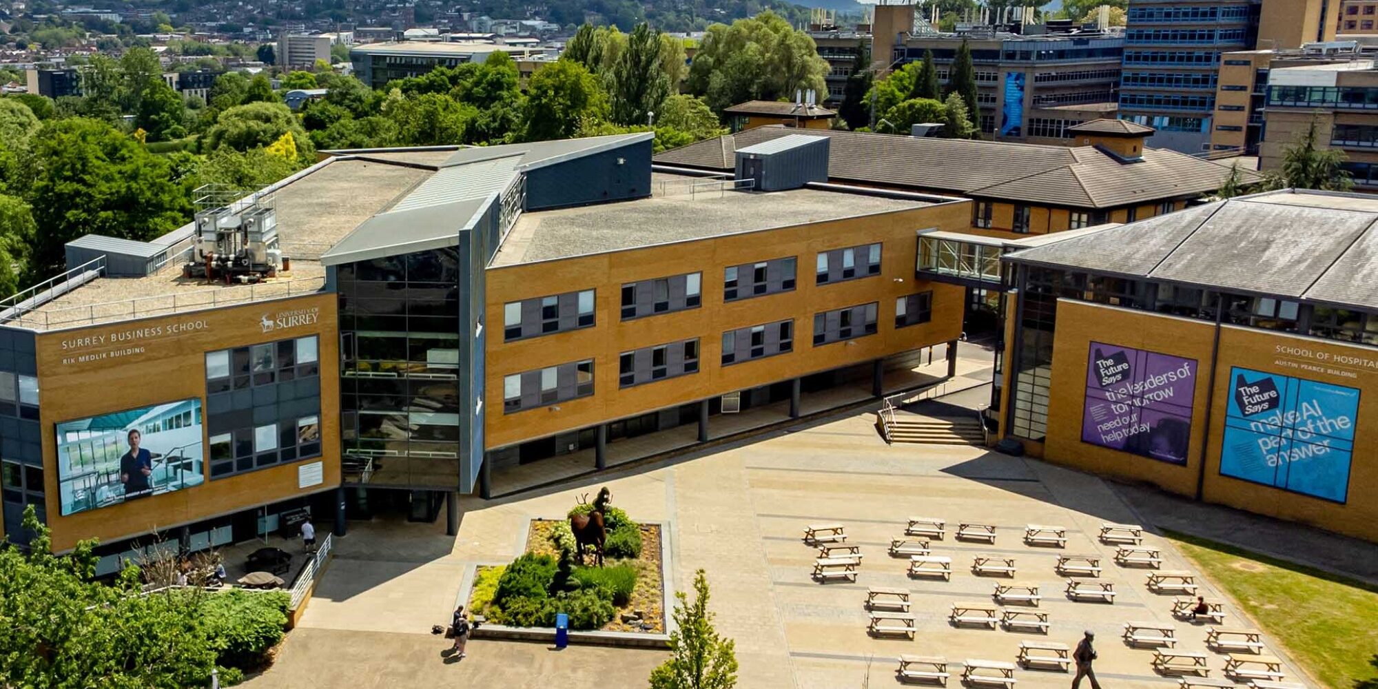 business-management-course-banner