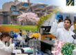 KHOA HỌC XÉT NGHIỆM Y KHOA TẠI UMASS DARTMOUTH