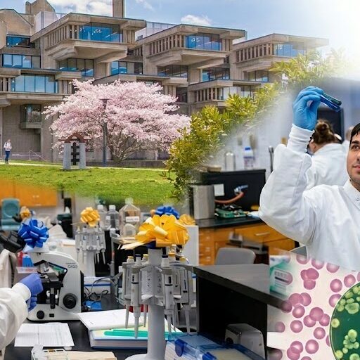 KHOA HỌC XÉT NGHIỆM Y KHOA TẠI UMASS DARTMOUTH